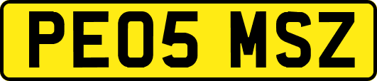PE05MSZ