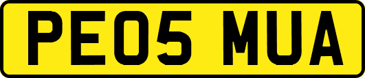 PE05MUA