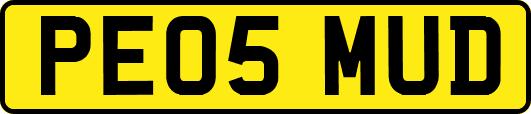 PE05MUD