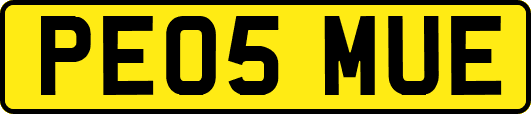 PE05MUE