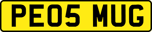 PE05MUG