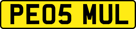 PE05MUL