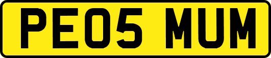 PE05MUM