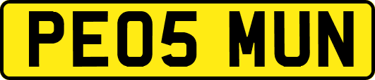 PE05MUN