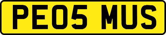 PE05MUS