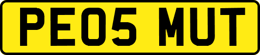 PE05MUT