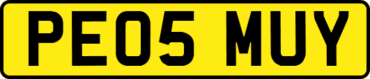 PE05MUY
