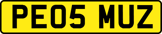 PE05MUZ