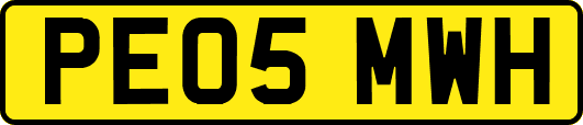 PE05MWH
