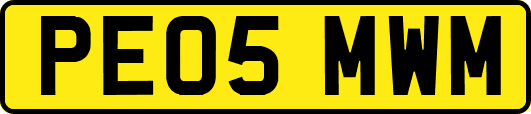 PE05MWM