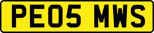 PE05MWS