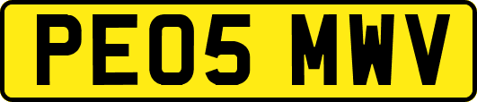 PE05MWV