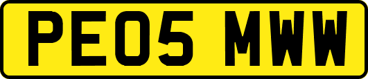 PE05MWW