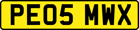 PE05MWX