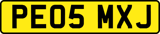 PE05MXJ