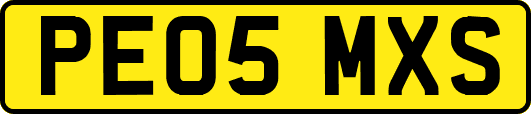 PE05MXS