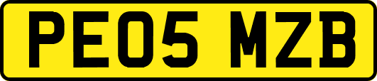 PE05MZB