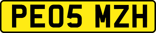 PE05MZH