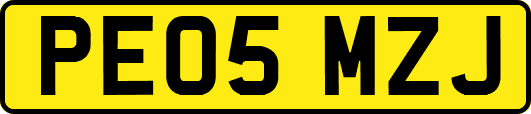 PE05MZJ