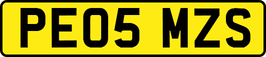 PE05MZS