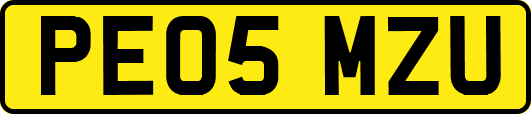 PE05MZU