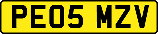PE05MZV