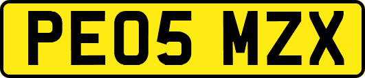 PE05MZX