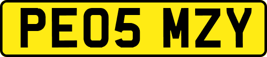 PE05MZY