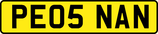 PE05NAN