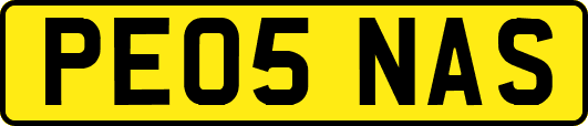PE05NAS
