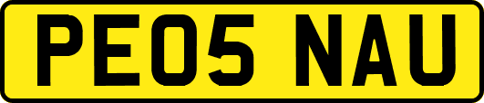 PE05NAU