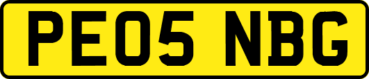 PE05NBG