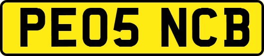 PE05NCB