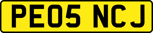 PE05NCJ