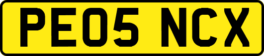 PE05NCX