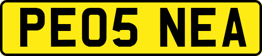PE05NEA