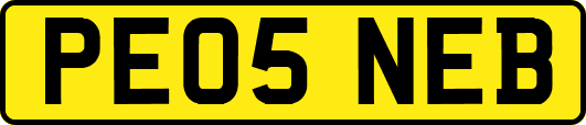 PE05NEB