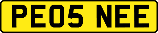 PE05NEE