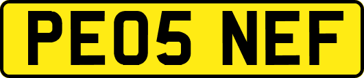 PE05NEF