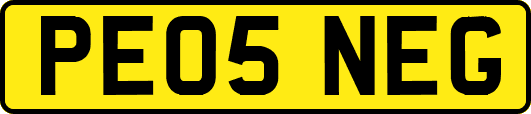 PE05NEG