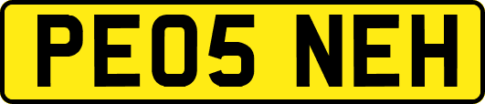 PE05NEH