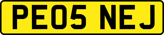 PE05NEJ
