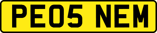 PE05NEM