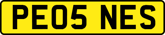 PE05NES