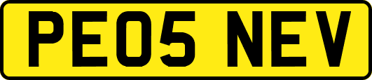 PE05NEV