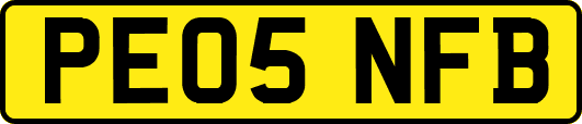 PE05NFB