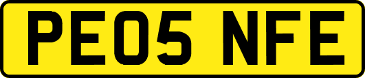 PE05NFE