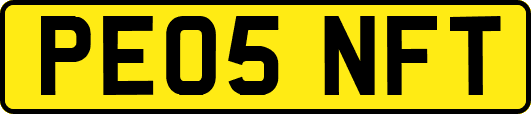 PE05NFT