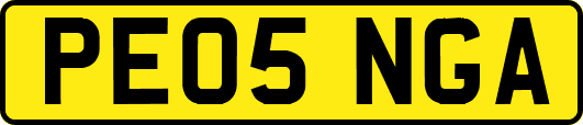 PE05NGA