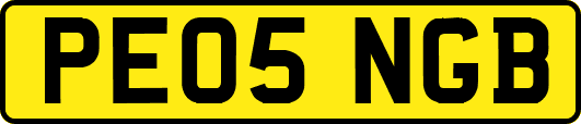 PE05NGB